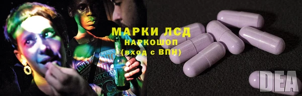 спайс Богданович