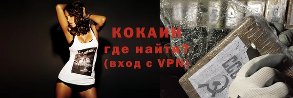 спайс Богданович