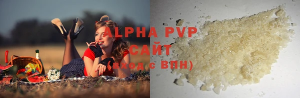 спайс Богданович