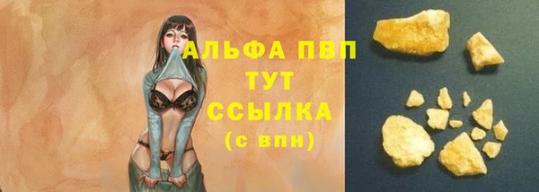 спайс Богданович