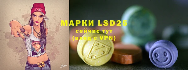 таблы Богородицк