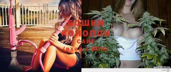 спайс Богданович