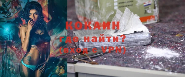 спайс Богданович