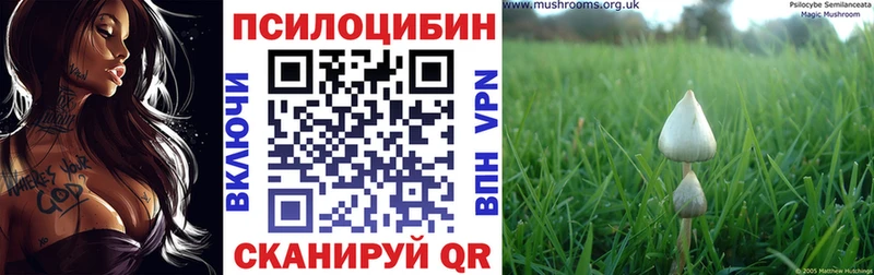 купить наркотики цена Наро-Фоминск Галлюциногенные грибы прущие грибы