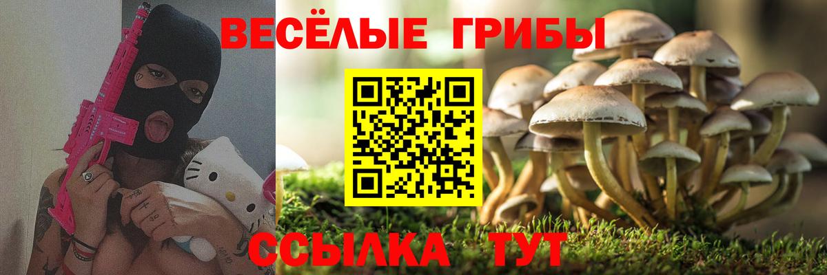 Галлюциногенные грибы Psilocybe  Вход с VPN  Наро-Фоминск 